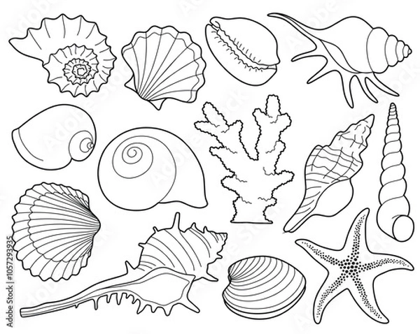 Fototapeta Hand drawn sea shells set with doodle style. line art sea shell background vector illustration.