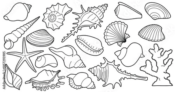 Fototapeta Hand drawn sea shells set with doodle style. line art sea shell background vector illustration.