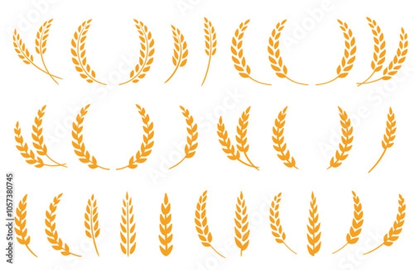 Obraz Wheat spikes, barley sheaf with grain set