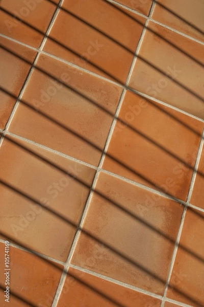 Obraz Abstract composition with terracotta tiles and fence shadows
