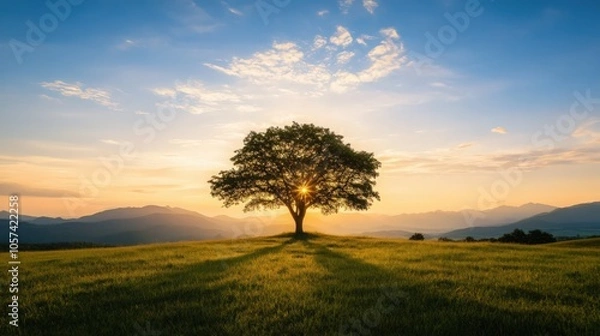 Obraz World environment day concept Silhouette alone tree on beautiful meadow wallpaper background
