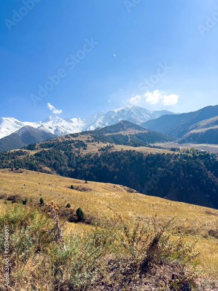 Fototapeta Golden autumn slopes and snow-capped mountains against a clear blue sky in Kyrgyzstan.