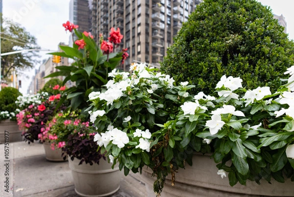 Obraz Beautiful Flowers and Planters in the Flatiron District of New York City
