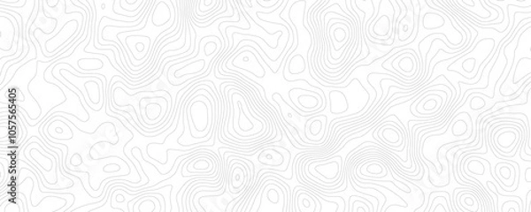 Fototapeta Abstract Contour Line Art, Minimalist Topographic Pattern for Contemporary Graphics
