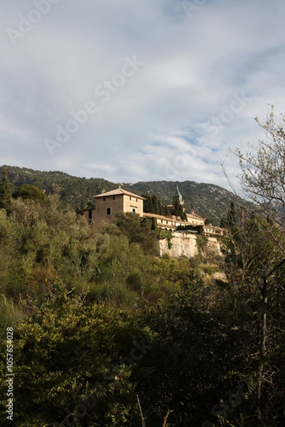 Fototapeta Iglesia de la Cartuja, church in valldemossa, mallorca, different view with green trees