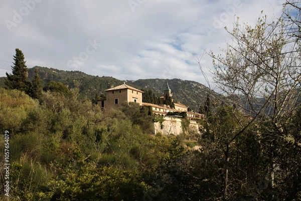 Fototapeta Iglesia de la Cartuja, church in valldemossa, mallorca, different view with green trees