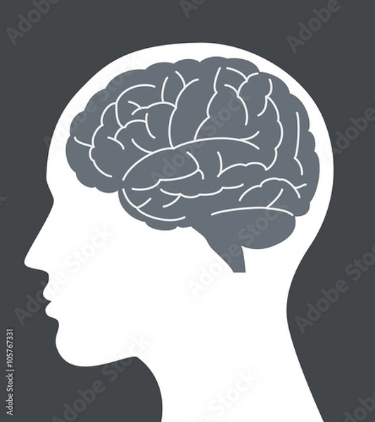 Obraz Human brain vector illustration with face profile