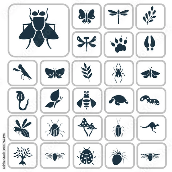 Fototapeta Set of twenty seven nature icons