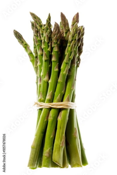 Obraz Asperges vertes en botte