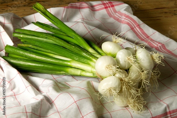 Obraz Oignons blancs dans torchon