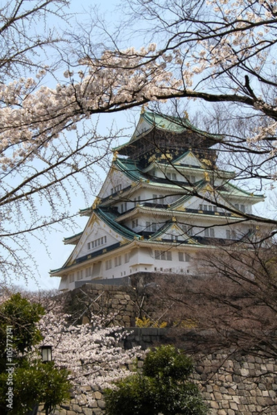 Obraz 大阪城と桜