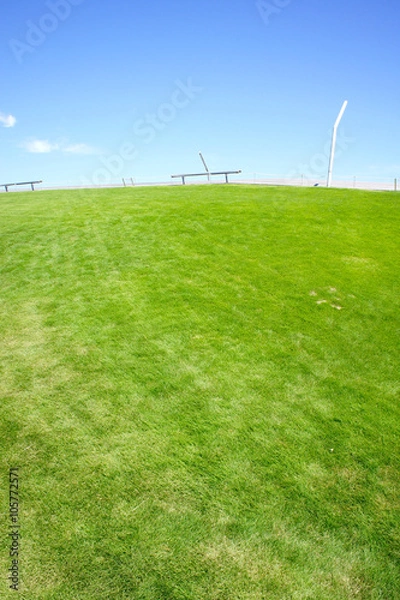 Obraz 芝生と青空