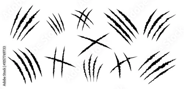 Fototapeta Set of black claws scratches animals. Four scratches shape. Wild animal claw marks. Funny design element
