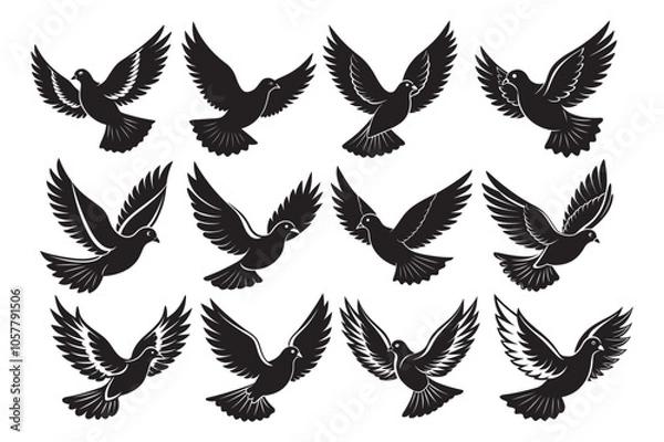 Fototapeta Mourning Dove Silhouette vector bundle, Mourning Dove Silhouette, Mourning Dove Silhouette Bundle 