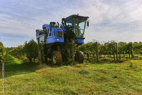 Fototapeta The grape harvest combine , Grape harvesting machine, combine-harvester Tuscany, Italy - nature