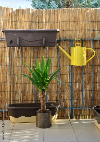 Fototapeta Yellow metal watering can (pot) hang on balcony railing, bamboo fence in background