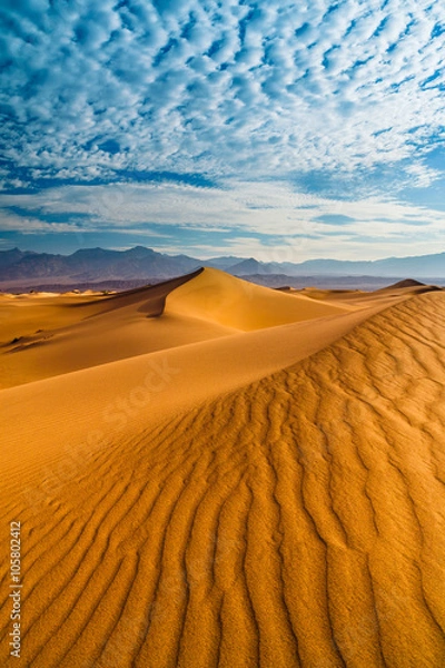 Obraz Desert Death Valley