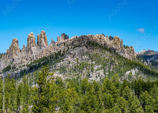 Obraz The Needles in Custer State Park, Black Hills, South Dakota