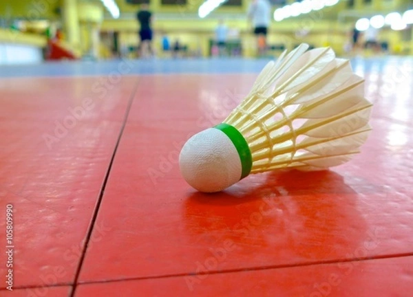 Obraz Shuttlecock closeup on the floor 