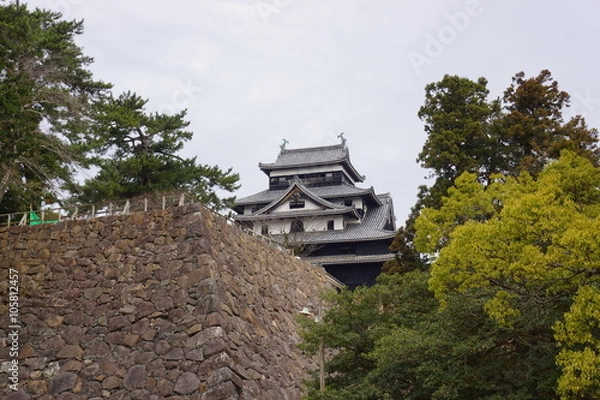 Fototapeta 国宝松江城