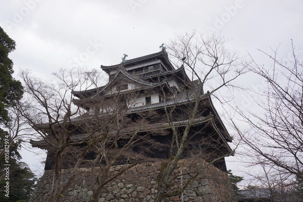 Fototapeta 国宝松江城