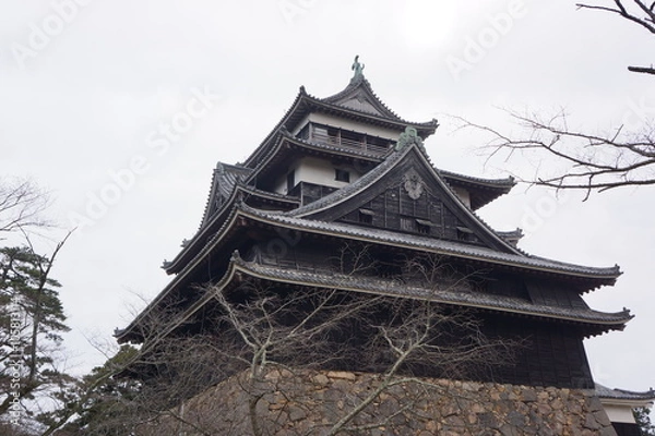 Fototapeta 国宝松江城