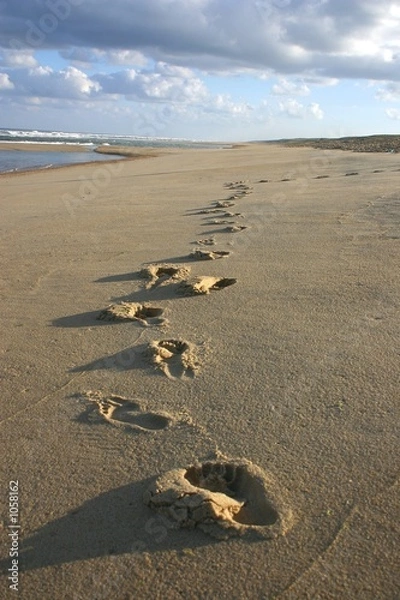Obraz empreintes de pas sur le sable