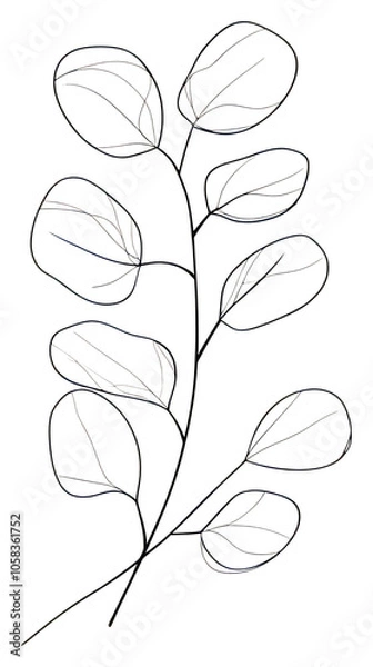 Obraz PNG Hand drawn of eucalyptus leaf drawing minimalist leaves.