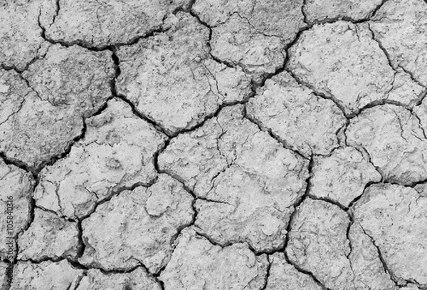 Fototapeta texture soil Cracked arid  pattern for background.