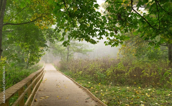 Obraz Beautiful foggy autumn morning landscape at the lakeside forest in Latvia. Footpath through the fall park. Seasonal scenery of Northern Europe.