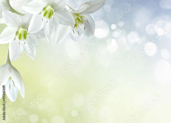 Obraz spring background