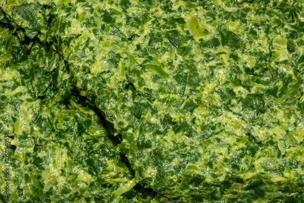 Fototapeta Rahmspinat