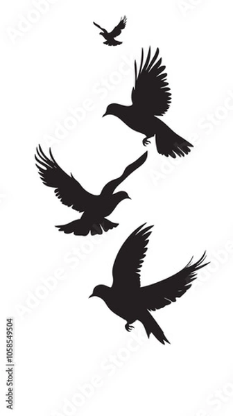 Obraz Doves silhouette isolated in White background