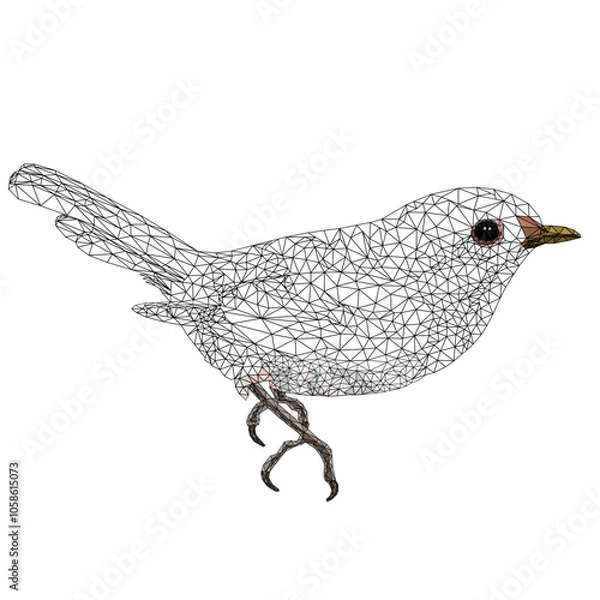 Obraz Small bird chick warbler Sylvia curruca outline low-polygon vector illustration editable hand draw