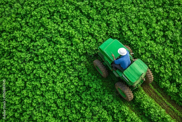 Fototapeta Smart farming techniques with drones and AI optimizing crop yield.