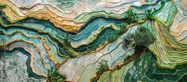 Fototapeta Close Up Rice Fields On Terraced