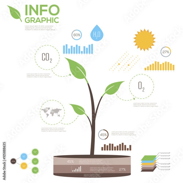 Fototapeta Ecological Infographic