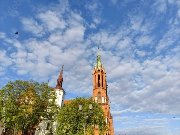 Obraz Cathedral Basilica of the Assumption of the Blessed Virgin Mary in Bialystok against backdrop of trees and cloudy sky
