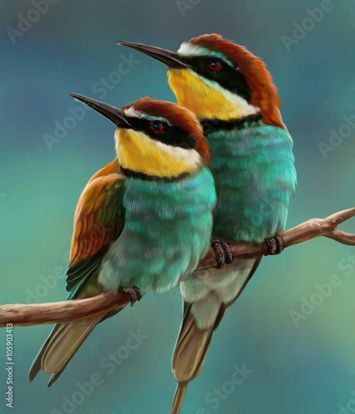 Fototapeta Пчелоед