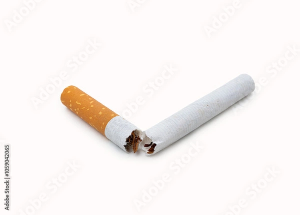 Fototapeta Closeup of a broken cigarette on a white background.