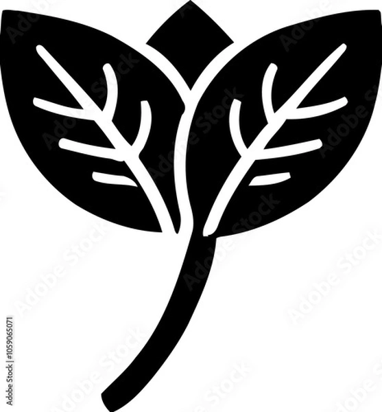 Fototapeta Silhouette of leaf, nature and plant icon, eco-friendly and botanical illustration
