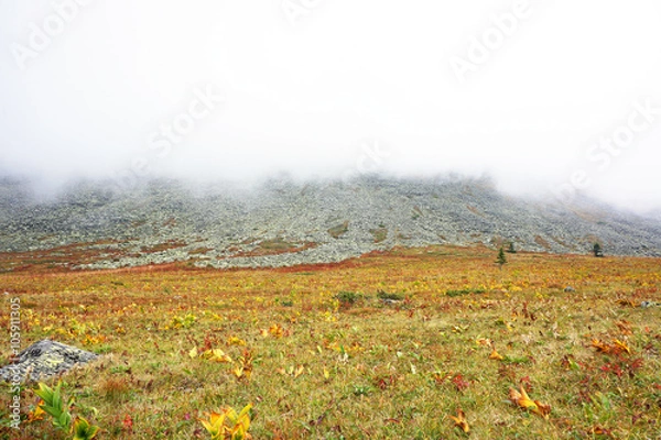 Fototapeta Mountains in the clouds
