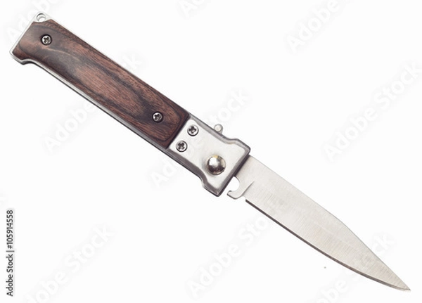 Obraz Penknife with the wooden handle