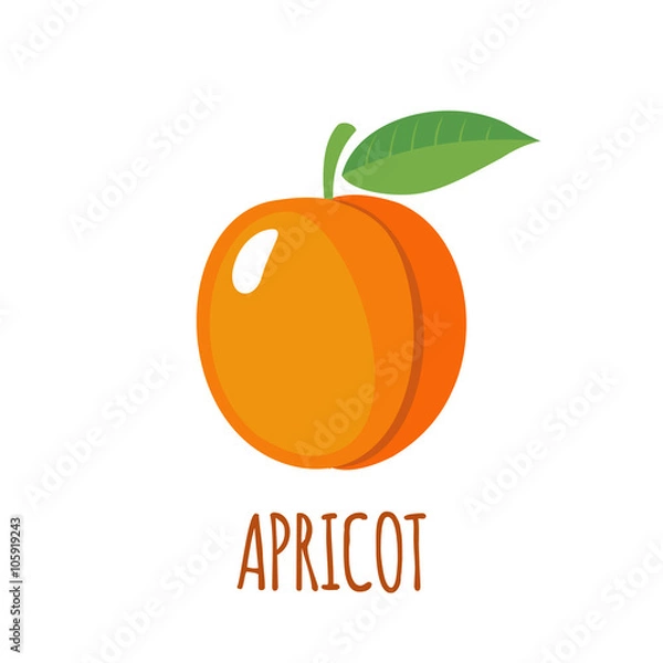 Fototapeta Apricot icon in flat style on white background