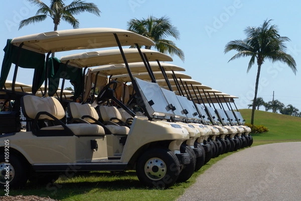 Obraz golf carts