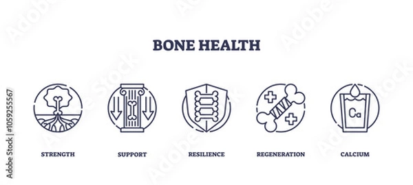 Fototapeta Bone health icons illustrate strength, support, and resilience. Outline icons set