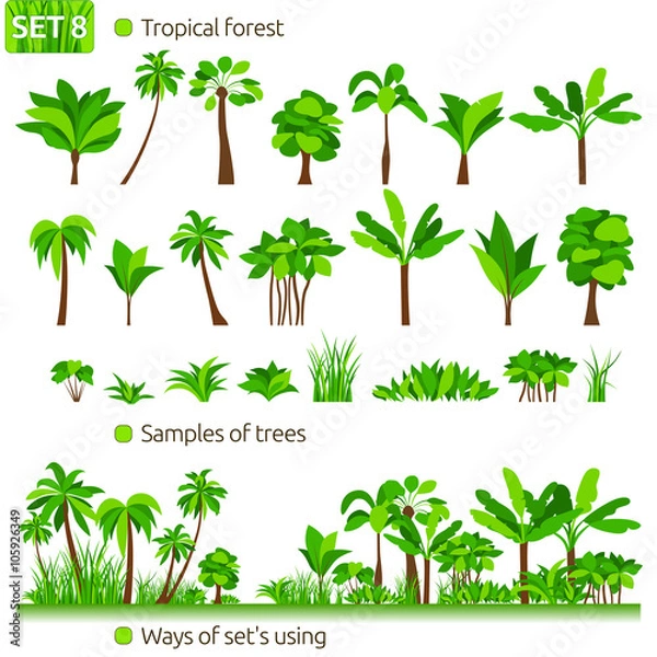 Obraz Las tropikalny. Palmy. Zestaw 8.