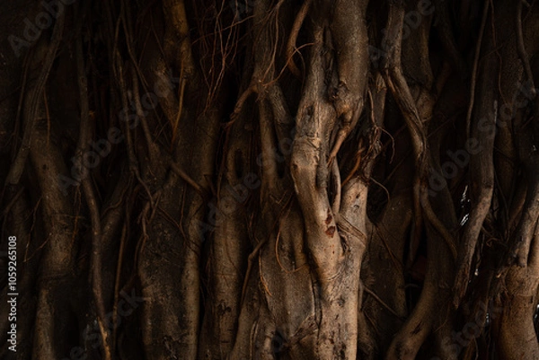 Obraz Huge tree trunk log background for posters and pamphlets