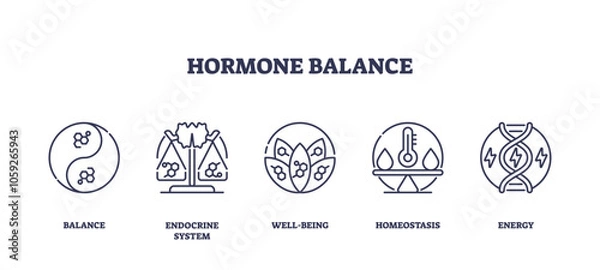 Fototapeta Hormone balance icons outline key concepts like balance, endocrine system, and energy. Outline icons set.