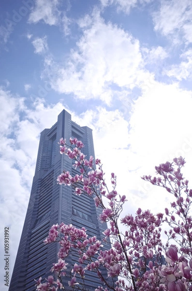 Obraz マグノリアの花と横浜ランドマークタワー